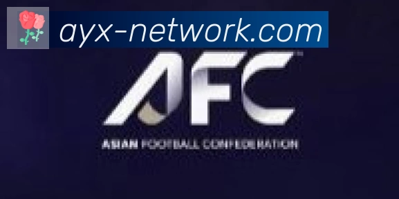 爱游戏合作伙伴